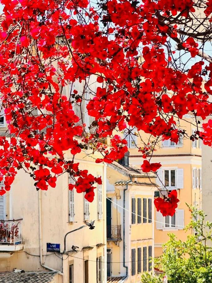 Villa Maria 1 Палеокастрица Экстерьер фото